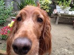 s-IMG_0067.jpg