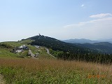 s-ORG_DSC00865.jpg