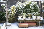 s-PICT0077.jpg